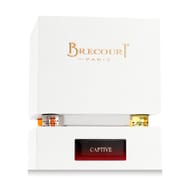 Brecourt Captive EDP