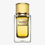 Dolce & Gabbana Velvet Mimosa Bloom EDP