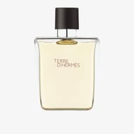 Hermès Terre D'Hermès EDT