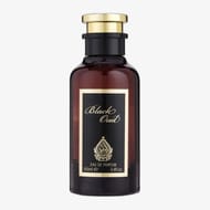 House of Perfumes Black Oud EDP