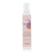 Inebrya Ice Cream Dry-T Whipped Cream Leave-in Conditioning Mousse Inebrya Ice Cream Dry-T Whipped Cream Leave-in Conditioning Mousse