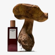 Loewe Earth EDP