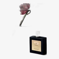 Miller Harris Le Cèdre EDP