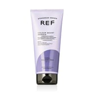 REF Colour Boost Masque (Cool Silver Ash 10.11) REF Colour Boost Masque (Cool Silver Ash 10.11)