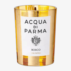 Acqua Di Parma Bosco India Mahdavi Scented Candle