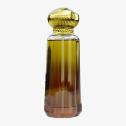 Ahmed Al Maghribi Anab EDP