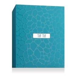 Ahmed Al Maghribi Tiff Tiff EP