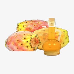 Bionoble Organic Prickly Pear Seed Oil