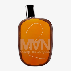 COMME des GARCONS Comme des Garcons 2 Man EDT