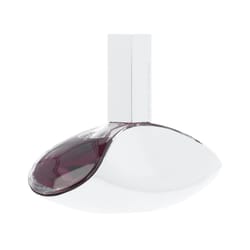 Calvin Klein Euphoria for Women EDP