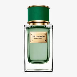 Dolce & Gabbana Velvet Cypress EDP