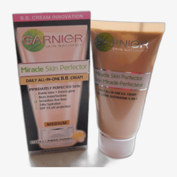 Garnier Skin Naturals BB Cream SPF 15 (Light)