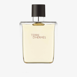 Hermès Terre D'Hermès EDT