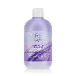Inebrya GREYlosophy Grey By Day Shampoo