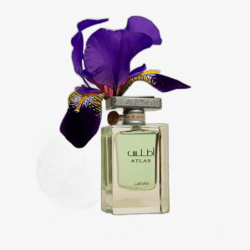 Lattafa Atlas EDP