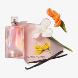Lancôme La Vie Est Belle Soleil Cristal L´EDP