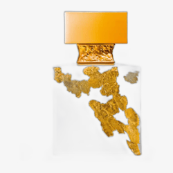 M.Micallef Ylang in Gold Nectar Parfum 30 ml