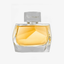 Montblanc Signature Absolue EDP