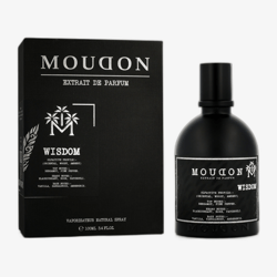 Moudon Vaillant EP