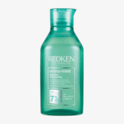 Redken Amino Mint Shampoo