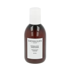 Sachajuan Normalizing Conditioner