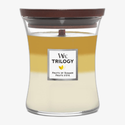 WoodWick Trilogy Medium Hourglass Candles Scented Candle Fruits of Summer