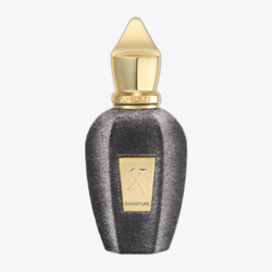 Avasta Xerjoff V Ouverture EDP 