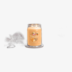 Yankee Candle Classic Large Jar Candles Scented Candle Mango Ice Cream