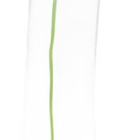 Kenzo Flower by Kenzo Eau De Toilette - tester 50 ml (woman)
