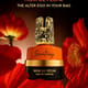 Флакон Armaf Scentasy Noir de Pêche EDP крупным планом, элегантный вид