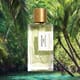 Elegant bottle showcasing Goldfield & Banks Bohemian Lime Parfum