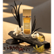 Gritti Vanilla Tana Extrait de Parfum Catalogue