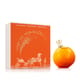 Hermès l'ambre des merveilles edp - bottle and packaging