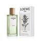 Close-up of Loewe Aire Sutileza EDT bottle