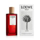 Original packaging of Loewe Solo Cedro EDT Close-up of Loewe Solo Cedro EDT bottle