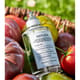Close-up of Maison Margiela Replica From the Garden EDT Miniature bottle