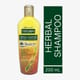 Organicals® ABUNDANCE Moringa Restructuring Shampoo Packaging Bottle of Organicals® ABUNDANCE Moringa Restructuring Shampoo