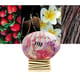 The House of Oud Guilty Crush EDP packaging Elegant bottle of The House of Oud Guilty Crush EDP