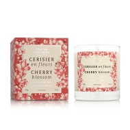 Panier des Sens Cherry Blossom Parfume Candle