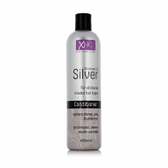 Xpel Shimmer of Silver Conditioner