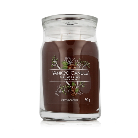 Yankee Candle Signature Scented Candle Praline & Birch