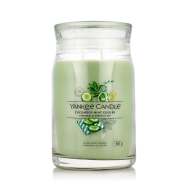 Yankee Candle Signature Scented Candle Cucumber Mint Cooler