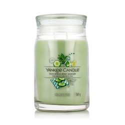 Yankee Candle Signature Scented Candle Cucumber Mint Cooler